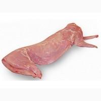 Продам мясо кроля