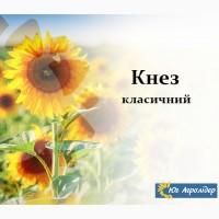 Гібрид Соняшника НС Кнез / Стійкий до вовчка 7+ рас (A-G +)