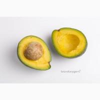 Продамо авокадо з Домінікани