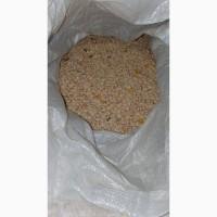 Люпин органічний, люпин органический, organic lupine