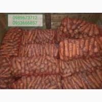Продам моркву