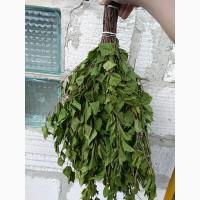 Продам банный веник