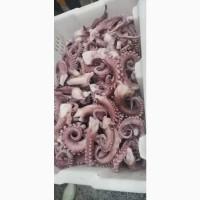 Филе морского угря, щупальца кальмара