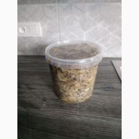 Маринованные грибы, вешенки, ОПТ