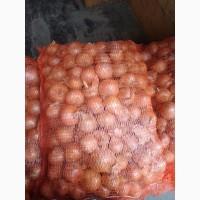 Продам польский лук