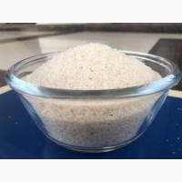 Псиліум лушпиння насіння подорожника блошиного Індія 99%