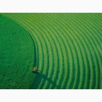 Продажа агропредприятий в Одесской и Николаевской области