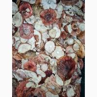 Мухомори червоні