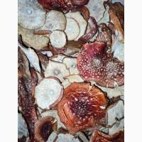 Мухомори червоні