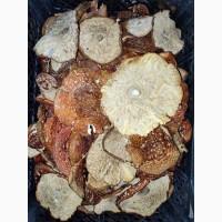 Мухомори червоні