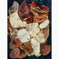 Мухомори червоні