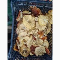 Мухомори червоні