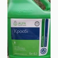 Кросбі Кросби