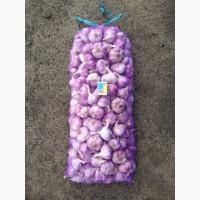 15 тонн ПРОДАМ ЧАСНИК Любаша Молодий Посадковий Товарний Озимий Чеснок Garlic