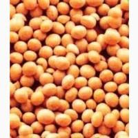 Куплю Сою ГМО по всій Україні