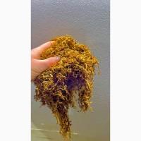 Табак для настоящего удовольствия