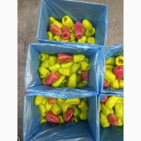 Перець тріо Здоровий Продукт цілий свіжоморожений