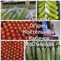 Продам огурец колючка