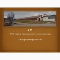 Продаж кролеферми на 35 000 голів (автоматизований європейський комплекс)