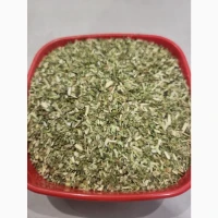 Махорка домашня зелена, тютюн самосад