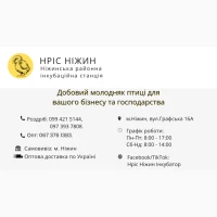 Бройлер, Іспанка, Редбро, Мастер, Долматинець, Геркулес, Триколор, Домінант, Мулард, Індик
