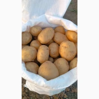 Продам обʼєм картоплі