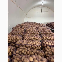 Продам картоплю