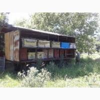 Продам павильон на 25 пчелосемей, вместе с пчелами