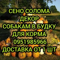 Декор тюки брикеты для оформления праздничных зон с доставкой от 1 шт