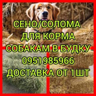 Доставка сена в тюках мешках (луговое, люцерна, солома)