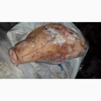 Продам свиные головы, баки на шкуре, б/ш, уши