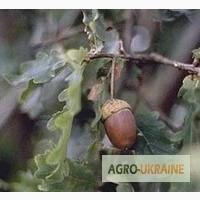 Кора дуба продам
