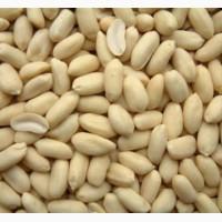 Арахис Бразилия бланш 38/42