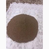 Продам насіння петрушки