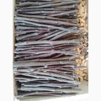 Яблуня гілочки сушені