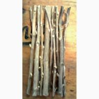 Яблуня гілочки сушені