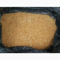 Купуємо просо в будь яких об’ємах насип чи в бегах