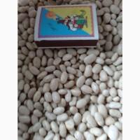 Продам квасолю