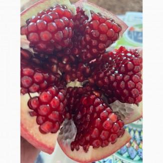 Продам Гранат