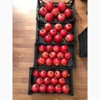 Продам Гранат