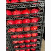 Продам Гранат