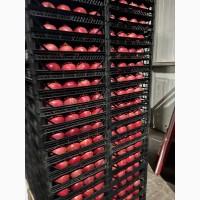 Продам Гранат