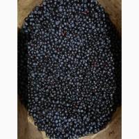 Продам чорницю заморожену