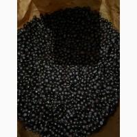 Продам шнековану чорницю заморожену