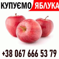 Закуповуємо яблоко на сік, на переробку Форма оплати будь-яка - Новий сезон