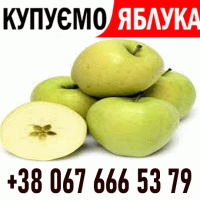 Закуповуємо яблоко на сік, на переробку Форма оплати будь-яка - Новий сезон