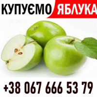 Закуповуємо яблоко на сік, на переробку Форма оплати будь-яка - Новий сезон