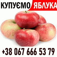 Закуповуємо яблоко на сік, на переробку Форма оплати будь-яка - Новий сезон