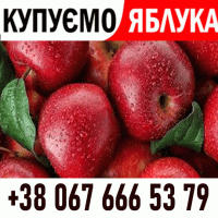 Закуповуємо яблоко на сік, на переробку Форма оплати будь-яка - Новий сезон