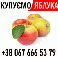 Закуповуємо яблоко на сік, на переробку Форма оплати будь-яка - Новий сезон